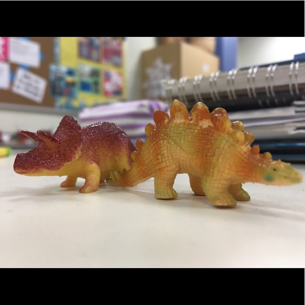 Meet your Posher, Rachael